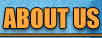 About Pools By Pool